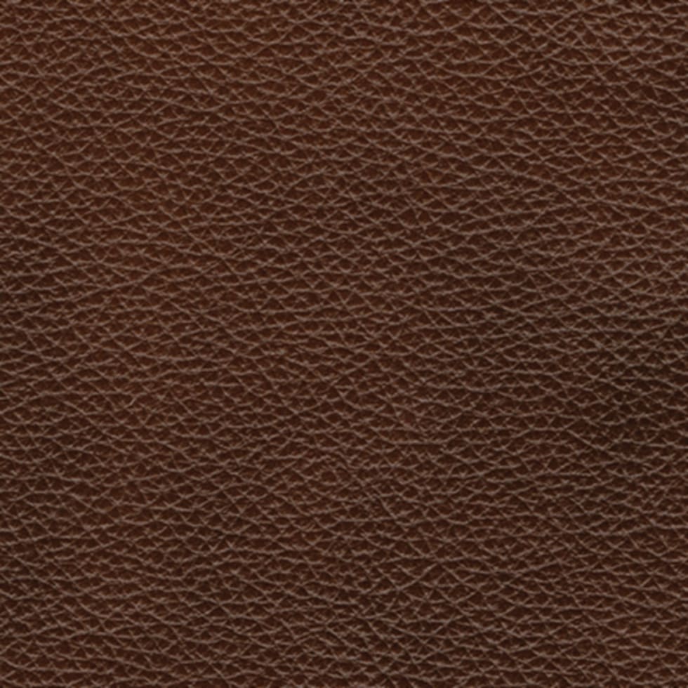 dark brown swatch  
