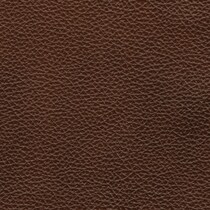 dark brown swatch  