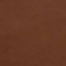 dark brown swatch  