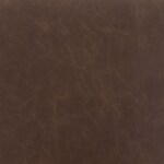 dark brown swatch  