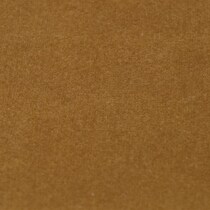 dark brown swatch  