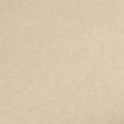 dark brown swatch  