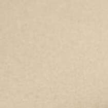 dark brown swatch  