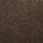 dark brown swatch  