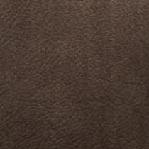 dark brown swatch  