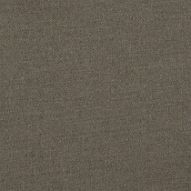 dark brown swatch  