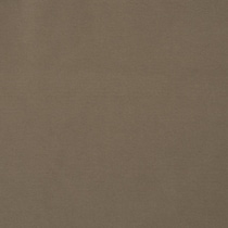 dark brown swatch  