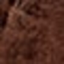 dark brown swatch  