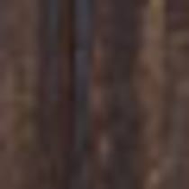 dark brown swatch  