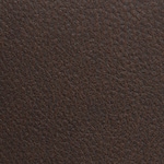 dark brown swatch  