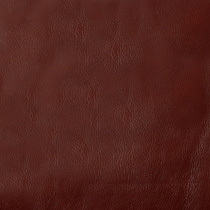dark brown swatch  