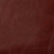 dark brown swatch  