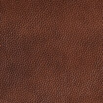 dark brown swatch  