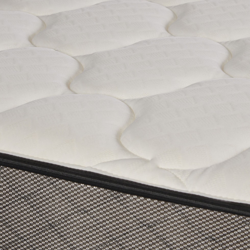 dream starter white queen mattress   