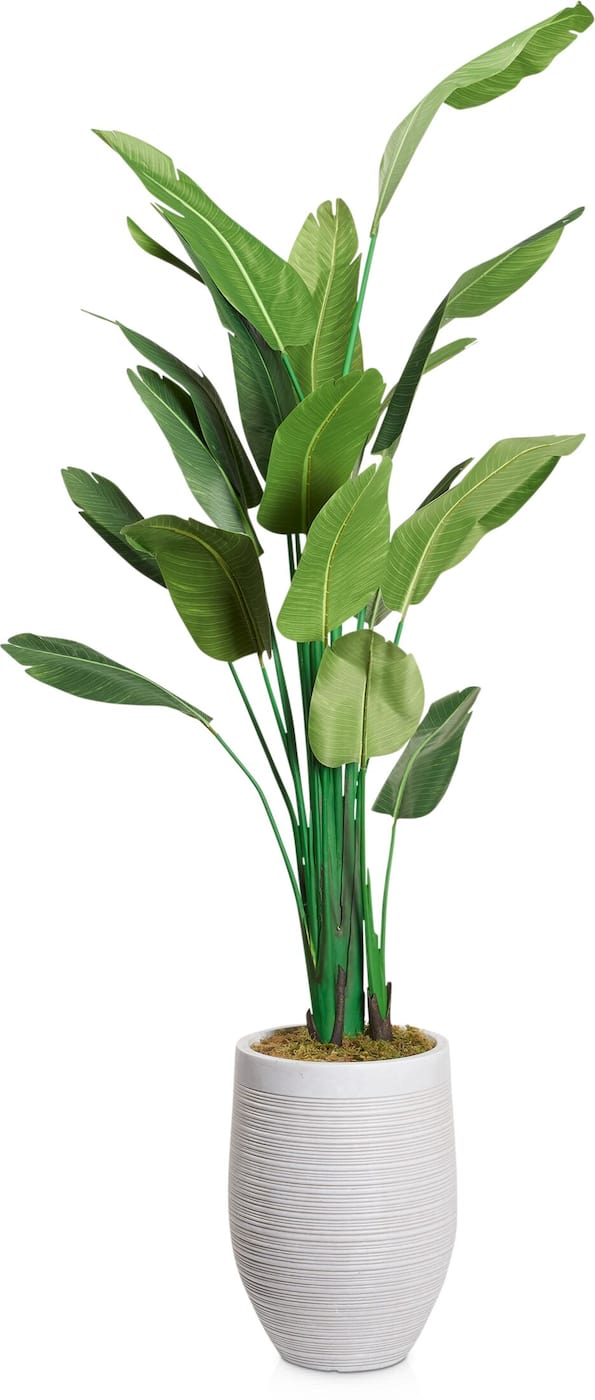 faux plant accent pieces main image  