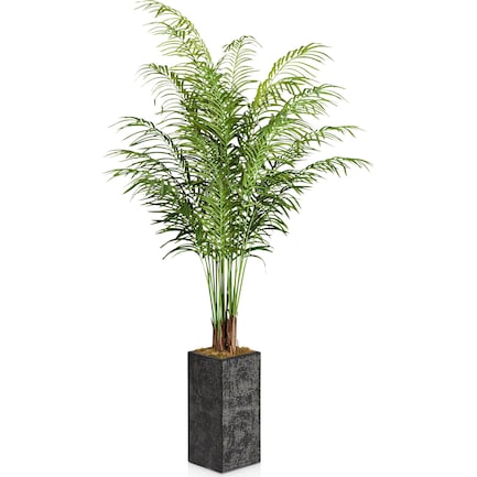 Faux 6' Areca Palm Plant with Black Sanibel Planter - Medium