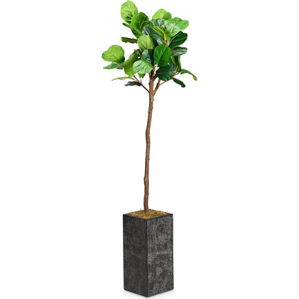 Faux 6.5' Fiddle Leaf Fig Tree with Black Sanibel Planter - Medium