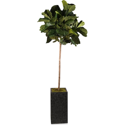Faux 7' Round Fiddle Leaf Fig Tree with Black Sanibel Planter - Large