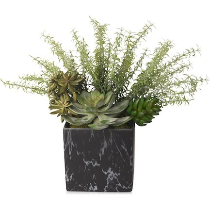 Faux Mixed Succulents and Rosemary Plant in Ceramic Vase - Black