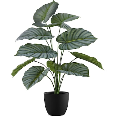 Faux 2' Calathea with Black Planter