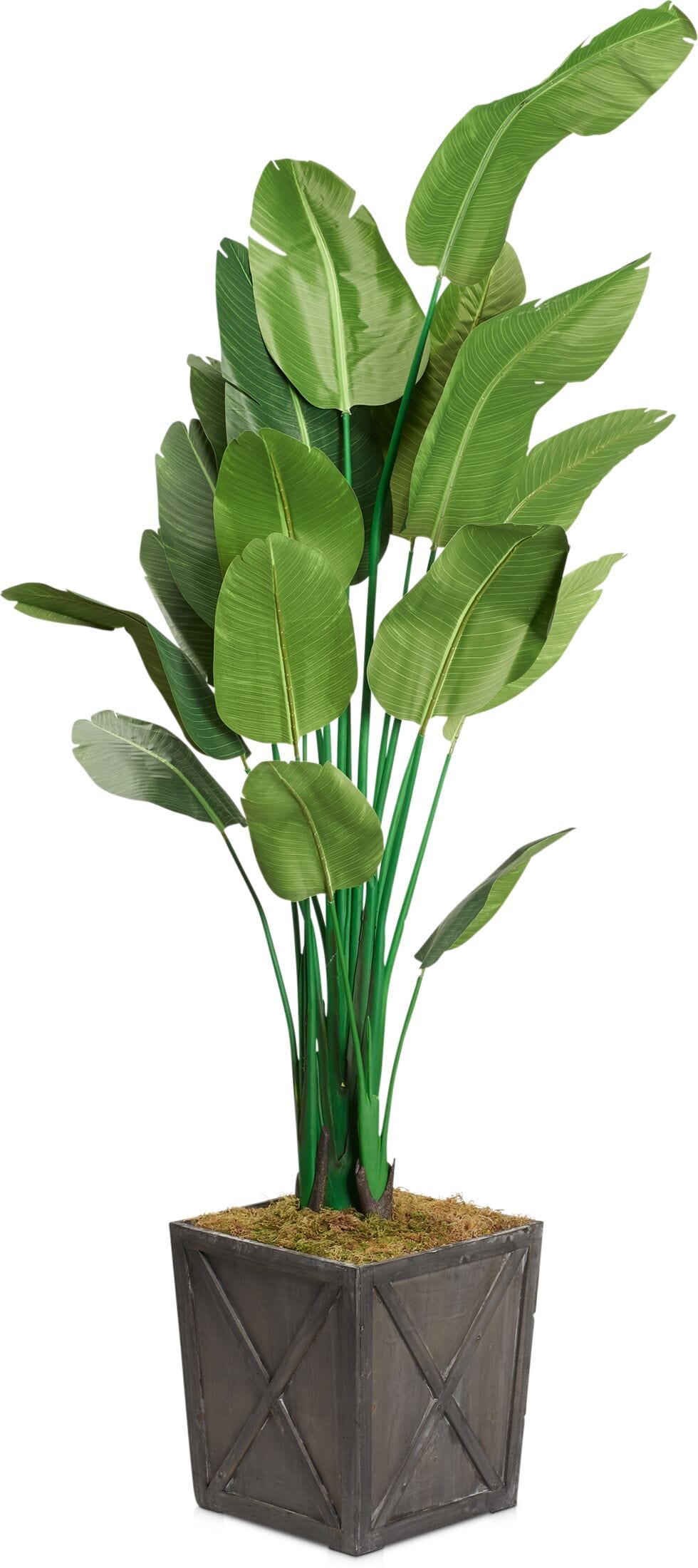 Faux 9' Travellers Palm Tree with Farmhouse Wood Planter Large