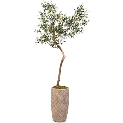 Faux 6' Olive Tree with Verona Terracotta Planter