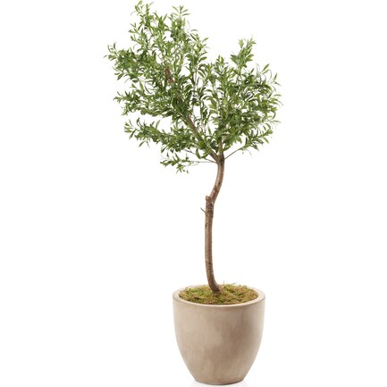 Faux 6' Olive Tree with Sandstone Planter - Medium