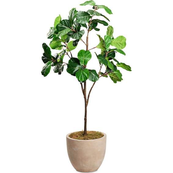 The Faux Plant Collection