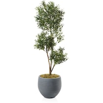 faux plant gray faux plant with planter   
