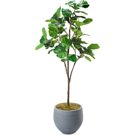 Faux 7' Fiddle Leaf Fig Tree with Joel Planter - Large
