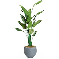 faux plant gray faux plant   