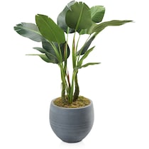 faux plant gray faux plant   
