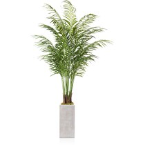 faux plant white faux plant with planter   
