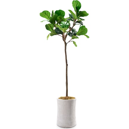 Faux 6' Fiddle Leaf Fig Tree with Zen Planter - Medium