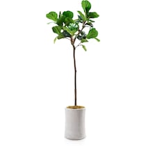 faux plant white faux plant   