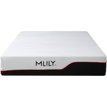 gel bamboo charcoal aerofusion white twin mattress   