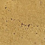 gold leaf swatch  