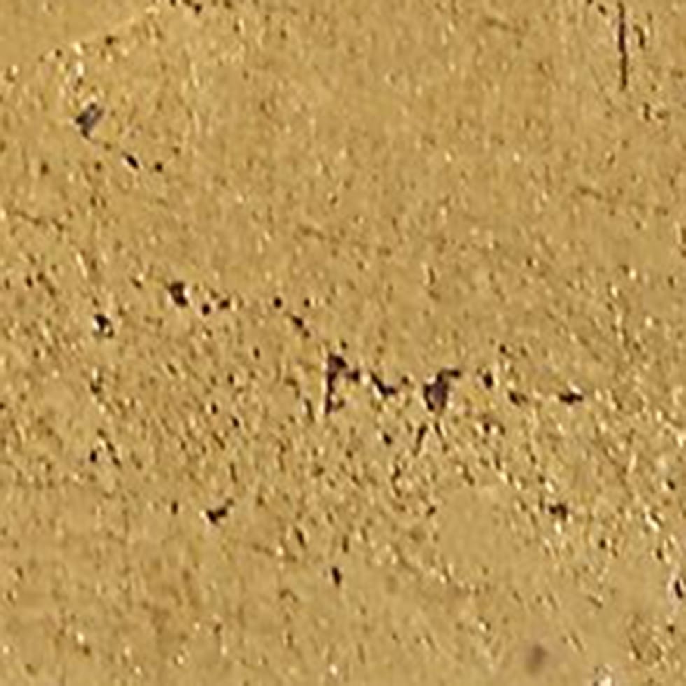 gold leaf swatch  