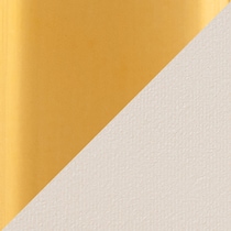 gold swatch  