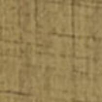 gold swatch  