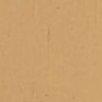 gold swatch  