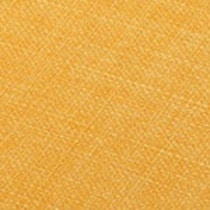 gold swatch  