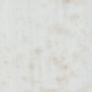 gold swatch  