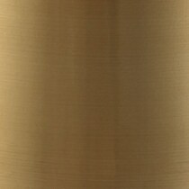 gold swatch  