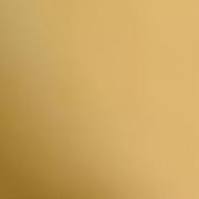 gold swatch  