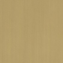 gold swatch  
