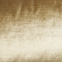 gold swatch  
