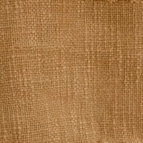gold swatch  
