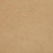 gold swatch  