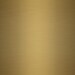 gold swatch  